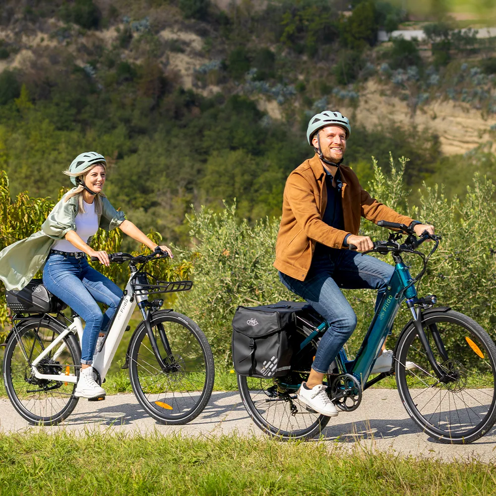 Fiido C11 City E-Bike - Image 5