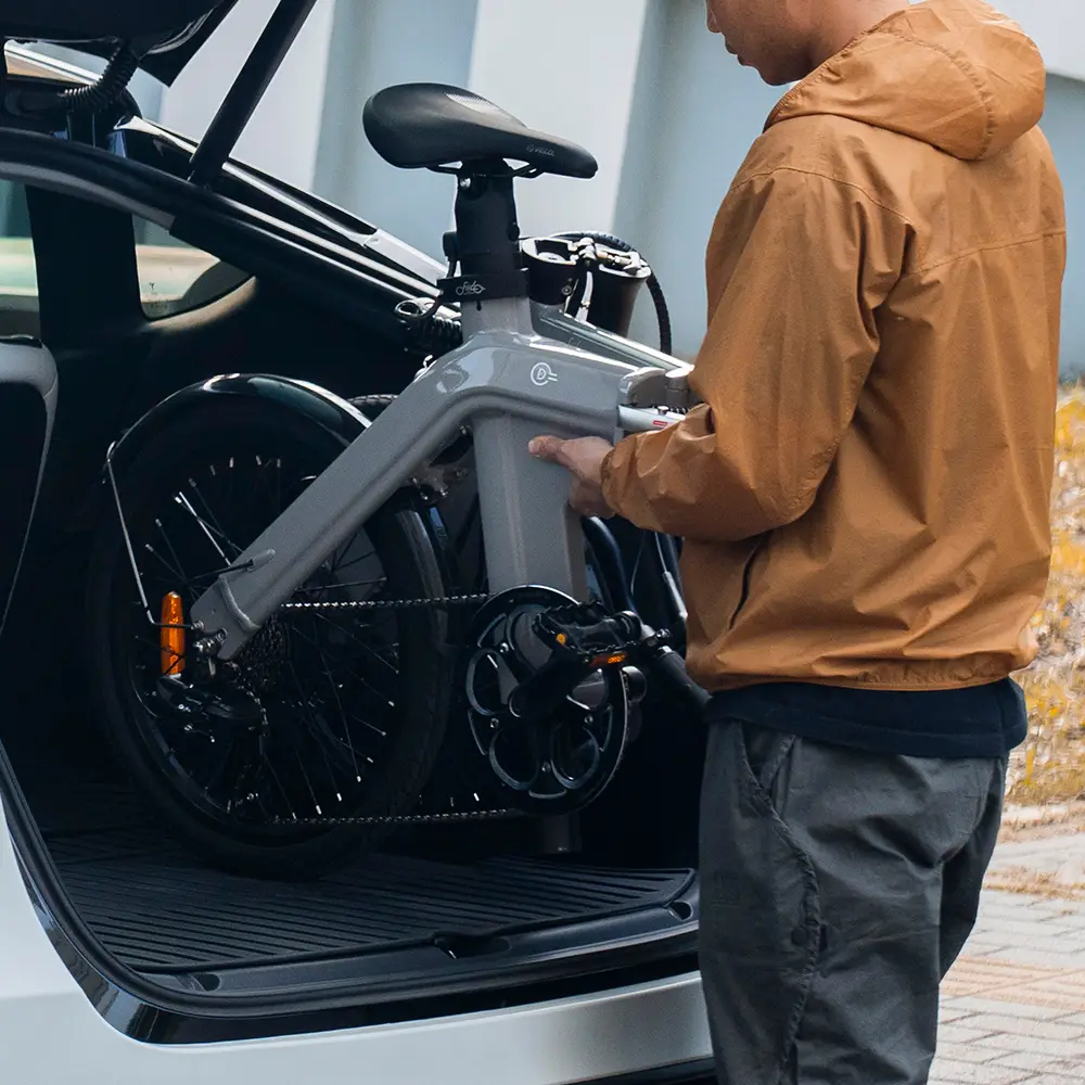 Fiido D11 Folding E-bike - Image 3