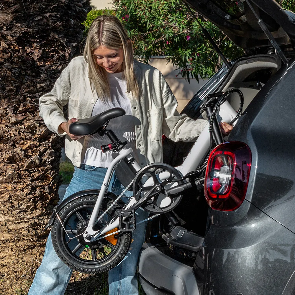 Fiido D3 Pro Mini Electric Bike - Image 4