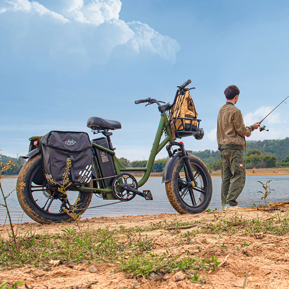 Fiido T1 Pro Utility Electric Bike - Image 4
