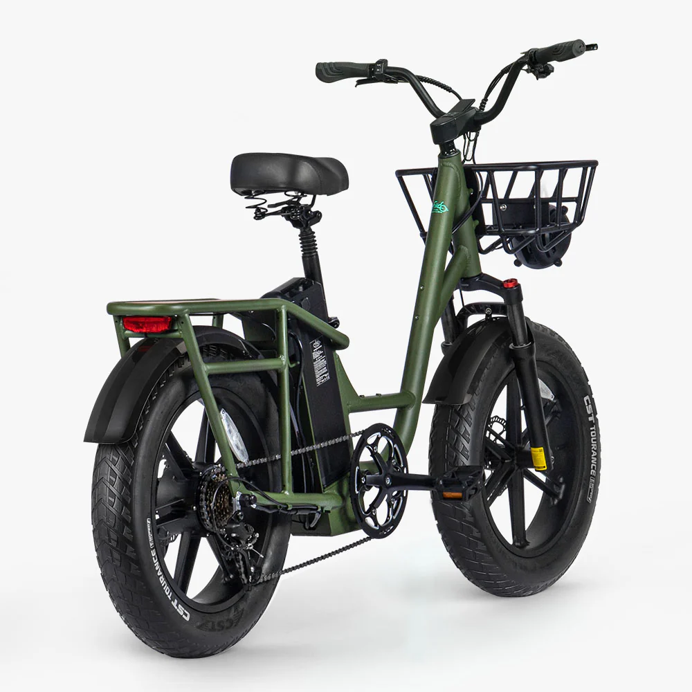 Fiido T1 Pro Utility Electric Bike - Image 6