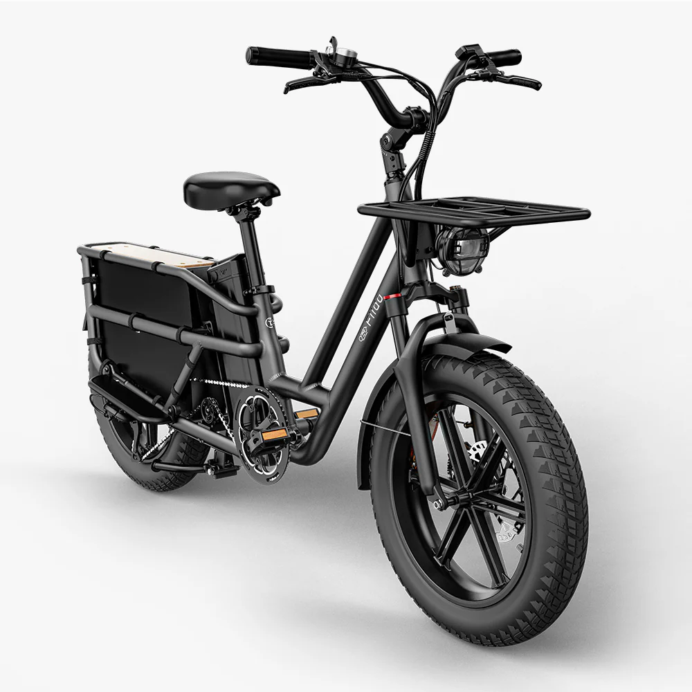 Fiido T2 Longtail Cargo E-bike - Image 11